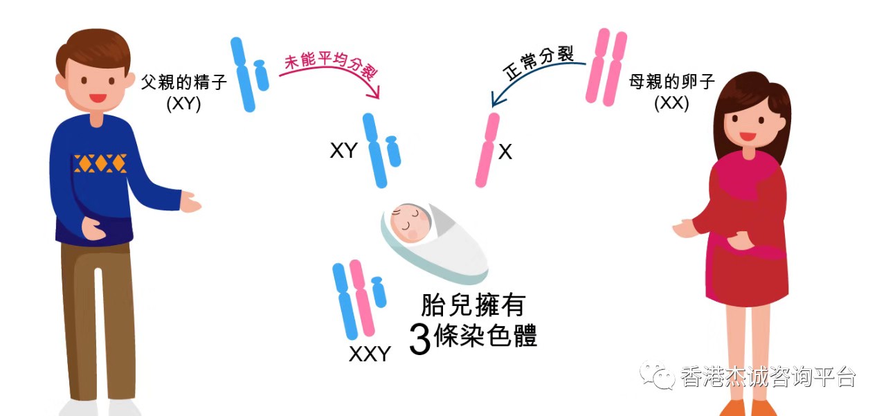 无创产前基因检测 杰誠咨詢公司